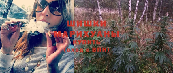 гидра Краснослободск