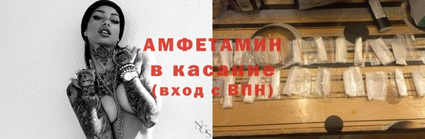 гидра Краснослободск