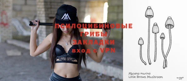 гидра Краснослободск