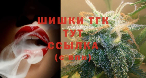 гидра Краснослободск