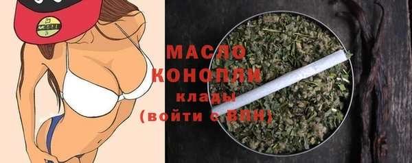гидра Краснослободск