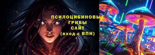 молекула духа Красноперекопск