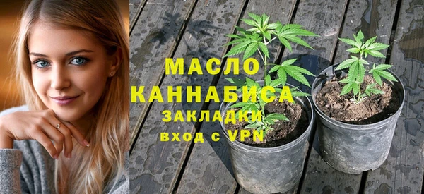 гидра Краснослободск