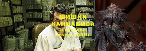гидра Краснослободск