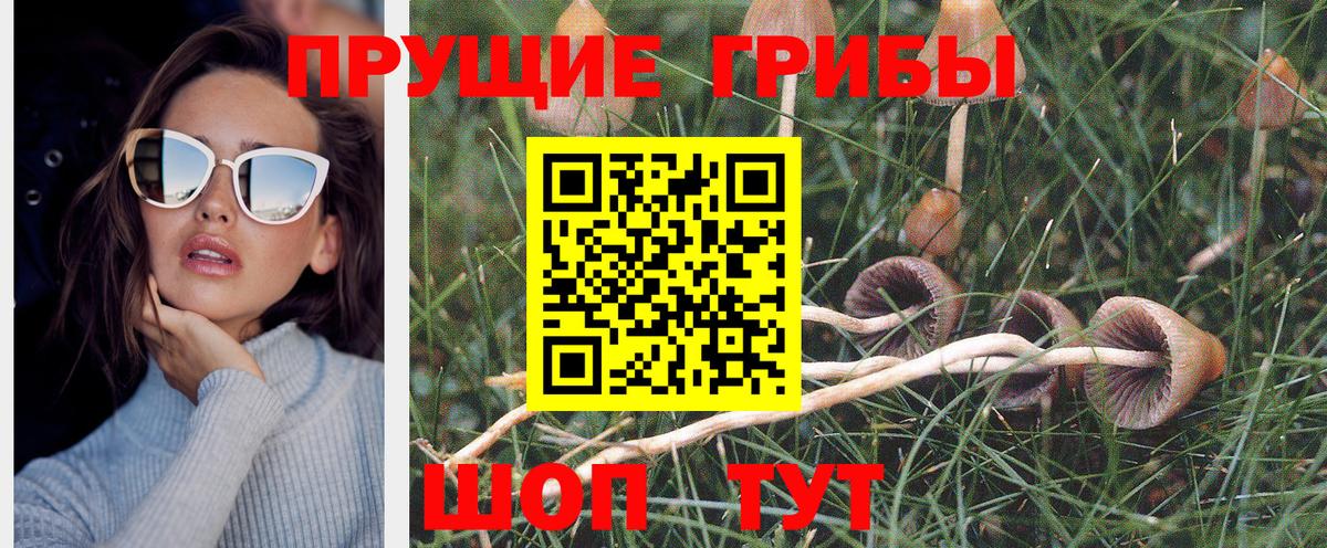 Псилоцибиновые грибы MAGIC MUSHROOMS Новошахтинск