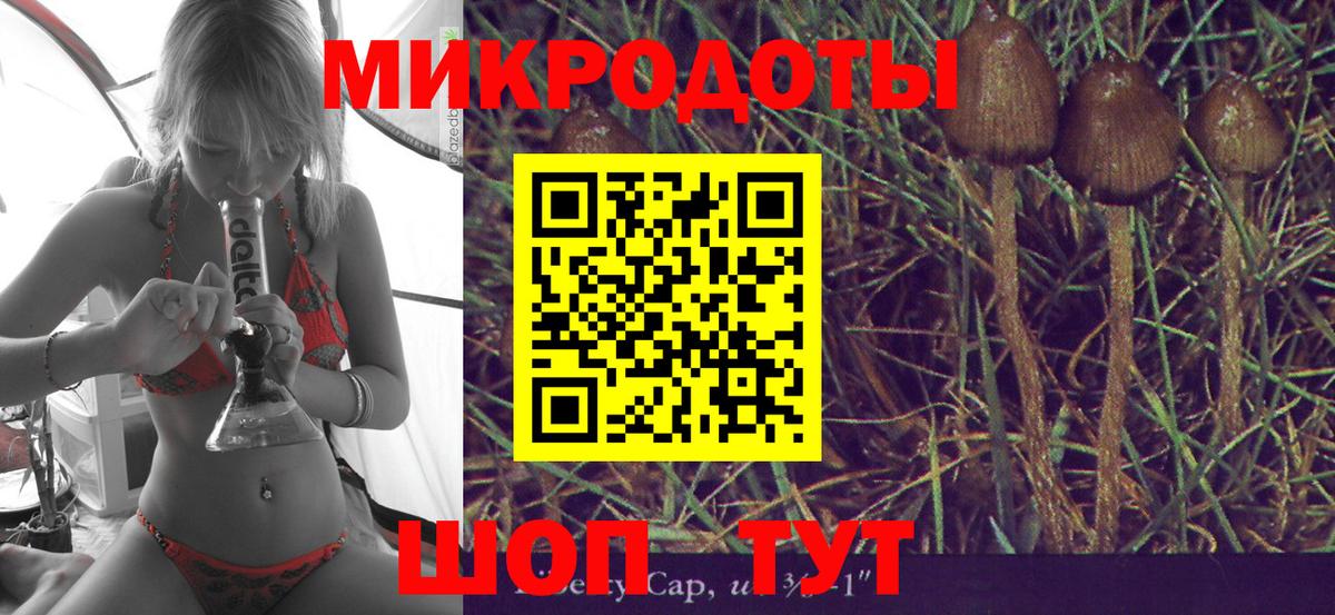 Псилоцибиновые грибы GOLDEN TEACHER Новошахтинск