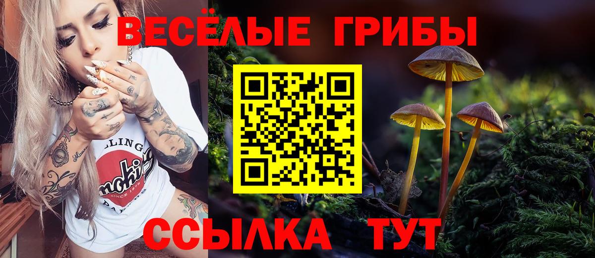 Новошахтинск  Галлюциногенные грибы GOLDEN TEACHER  Псилоцибиновые грибы Psilocybe  Вход с VPN 