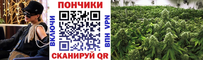 Шишки марихуана OG Kush  kraken как зайти  Новошахтинск  где продают  