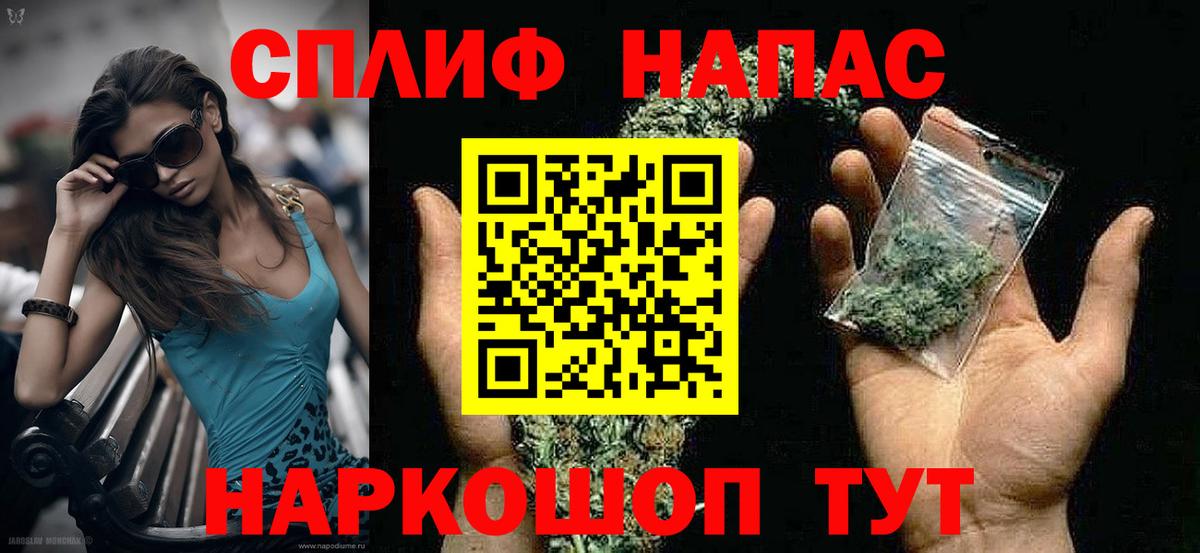 Конопля Ganja  Марихуана White Widow  Бошки марихуана план  Новошахтинск  Марихуана сатива 